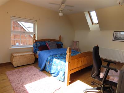 Picture 17